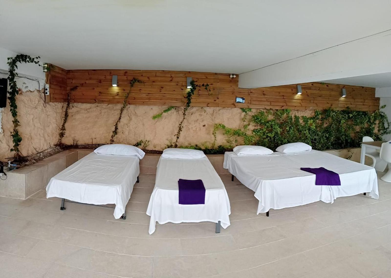 Exclusive Seafront Villa,Private Pool,Gym,Bbq El Toro  Exteriér fotografie