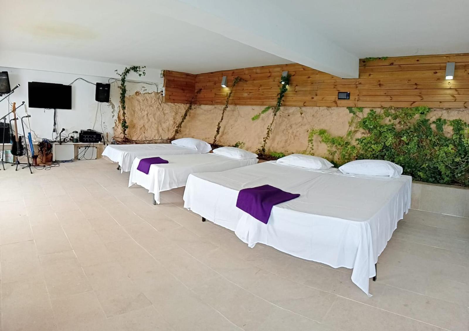 Exclusive Seafront Villa,Private Pool,Gym,Bbq El Toro  Exteriér fotografie